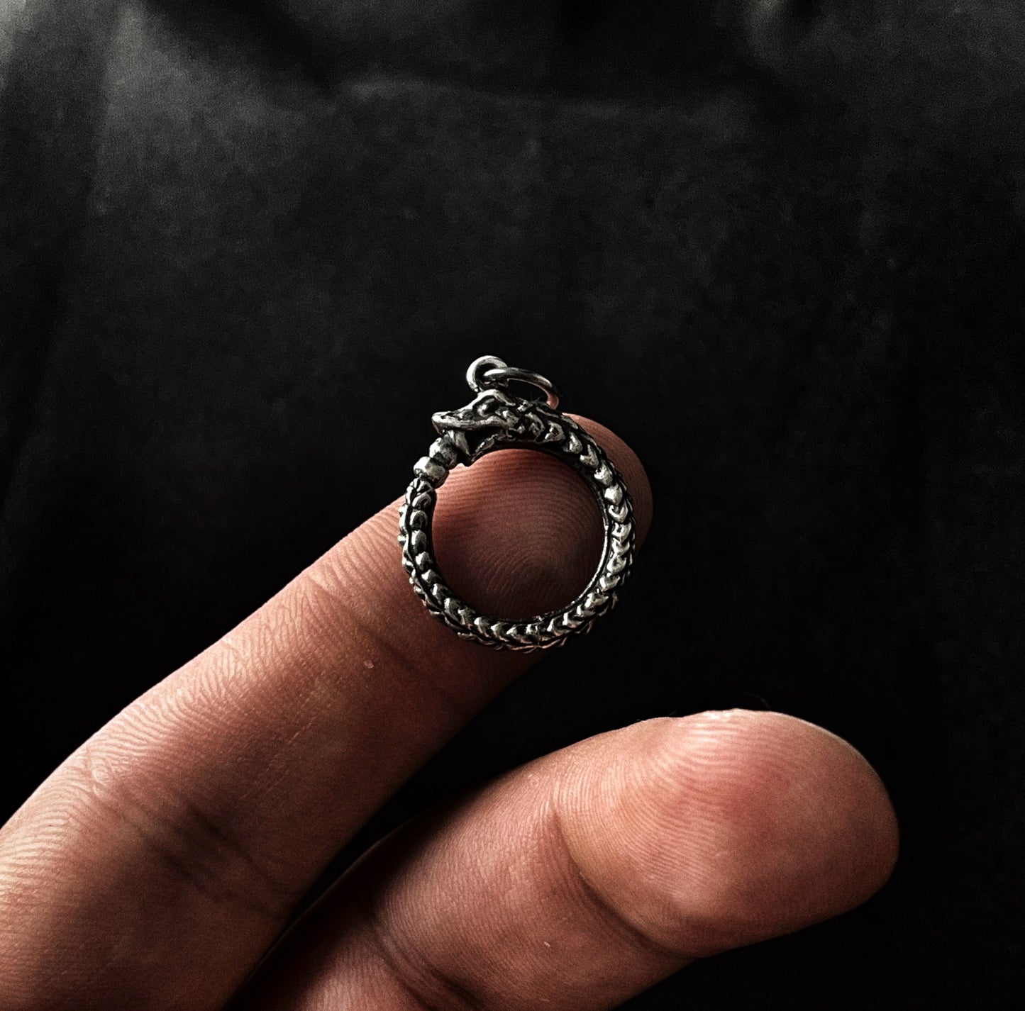Ouroboros