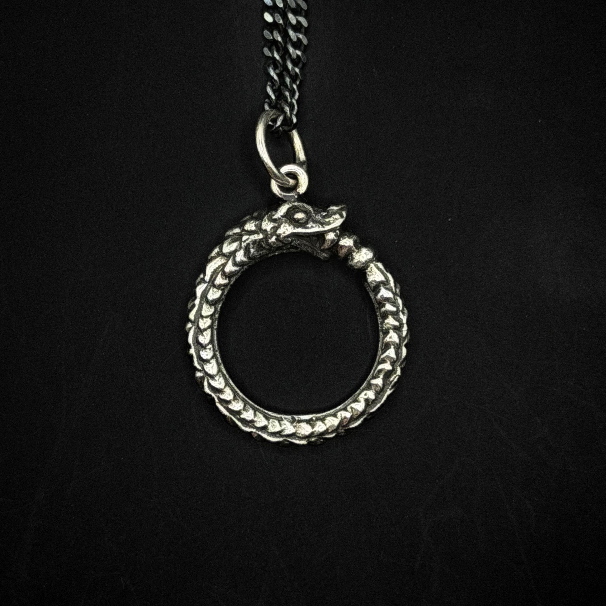 Ouroboros Snake Silver Pendant - Hidden Depths  