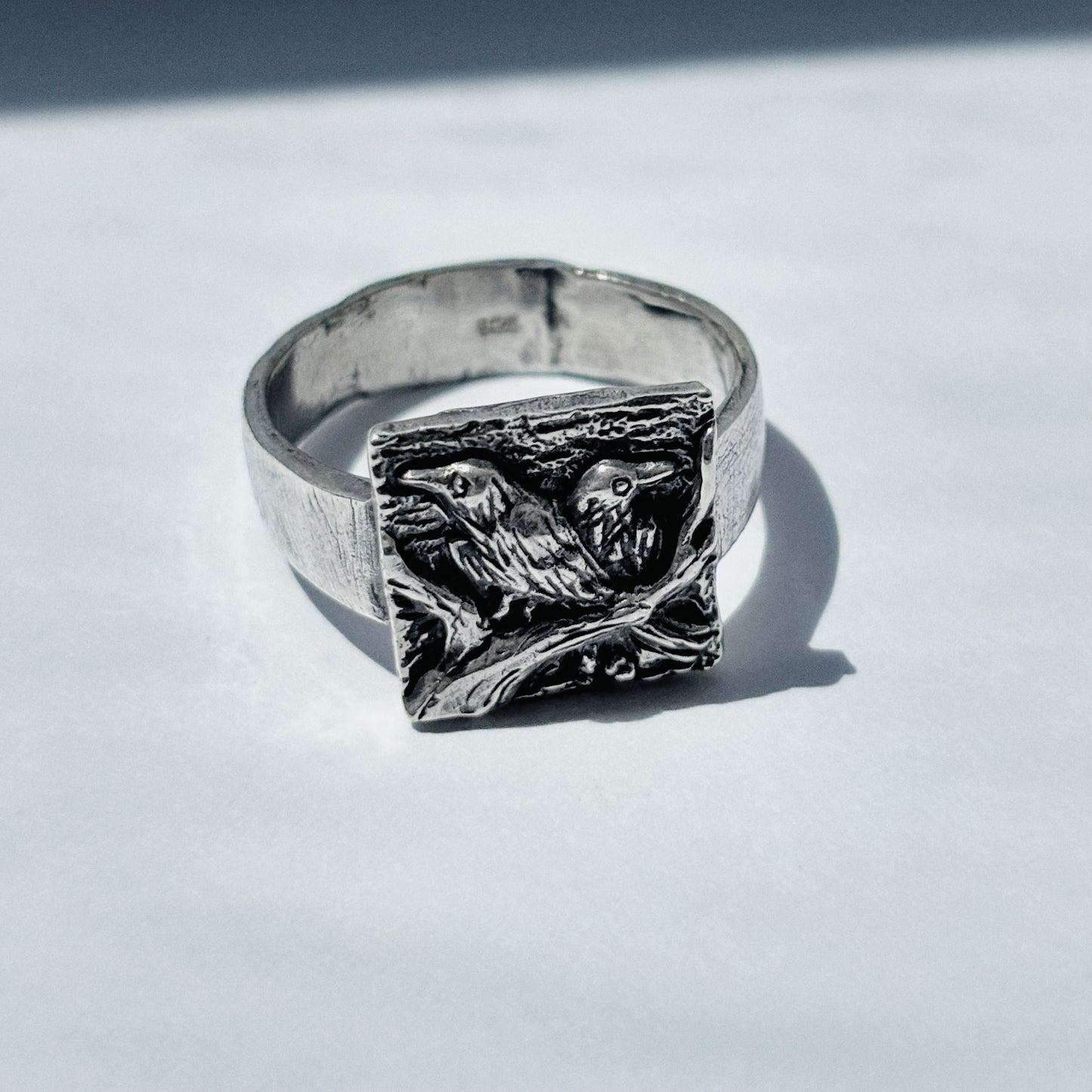 Odin's Ravens
